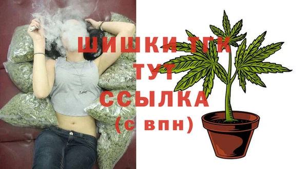 твердый Абаза