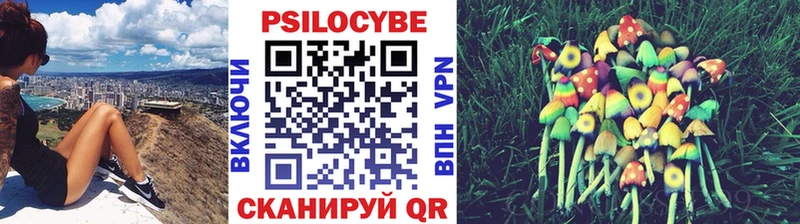 Галлюциногенные грибы мухоморы  Пудож 